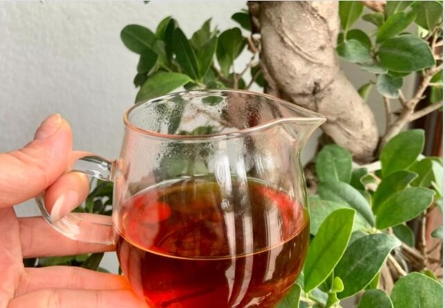 Φρουτώδες και ανθοφόρο τσάι Dahongpao από το Φουτζιάν - Ιδανικό για αποθήκευση σε ξηρό μέρος
